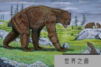 地球上体型最大的熊，巨型短面熊站立高达4.8米