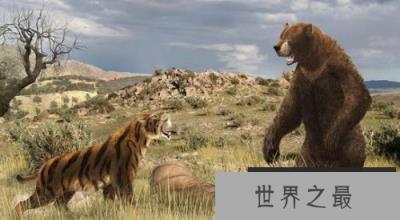 地球上体型最大的熊，巨型短面熊站立高达4.8米