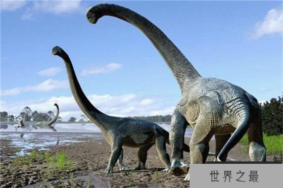 世界上最大的恐龙 初步估计长度至少50米(地震龙)