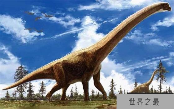 世界上最大的恐龙 初步估计长度至少50米(地震龙)