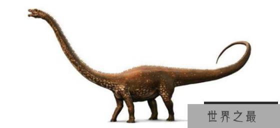世界上最大的恐龙 初步估计长度至少50米(地震龙)