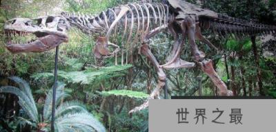 中国十大暴龙,中国十大著名恐龙