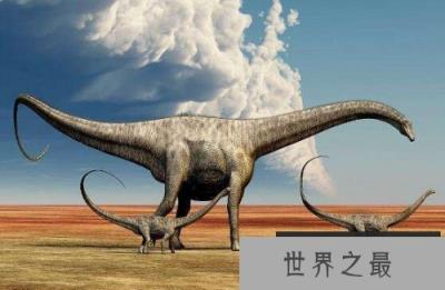 世界上最大的恐龙,地震龙体长32-36米 世界上最大的恐龙,地震龙体长32-36米