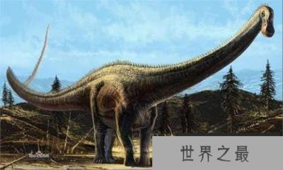 世界上最大的恐龙,地震龙体长32-36米 世界上最大的恐龙,地震龙体长32-36米