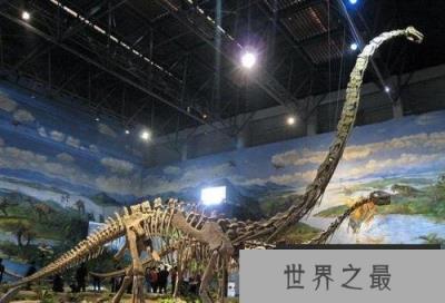 世界上最大的恐龙,地震龙体长32-36米 世界上最大的恐龙,地震龙体长32-36米