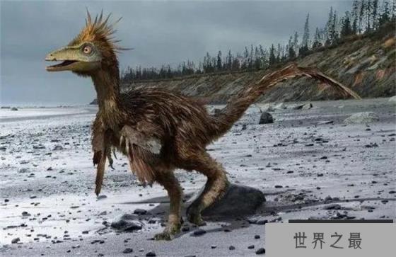 伤齿龙是世界上最聪明的恐龙 像狐狸一样狡猾 伤齿龙是世界上最聪明的恐龙 像狐狸一样狡猾