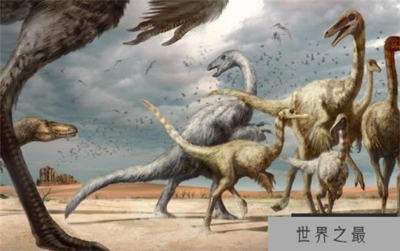 伤齿龙是世界上最聪明的恐龙 像狐狸一样狡猾 伤齿龙是世界上最聪明的恐龙 像狐狸一样狡猾