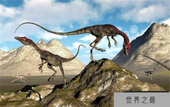 美颌龙——世界上最小的恐龙 体型和火鸡大小相似