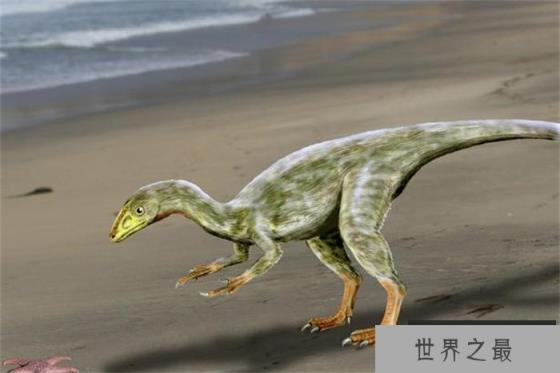 美颌龙——世界上最小的恐龙 体型和火鸡大小相似