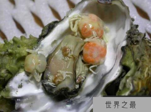 世界上最小的螃蟹,豆蟹成体仅指甲盖大小 世界上最小的螃蟹,豆蟹成体仅指甲盖大小