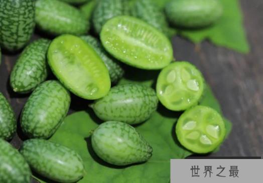 世界上最小的西瓜 拇指西瓜长只有3厘米(味道酸甜) 世界上最小的西瓜 拇指西瓜长只有3厘米(味道酸甜)