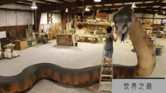 蟒蛇能无限生长，如果给它足够长的寿命，最大可以长到多大？