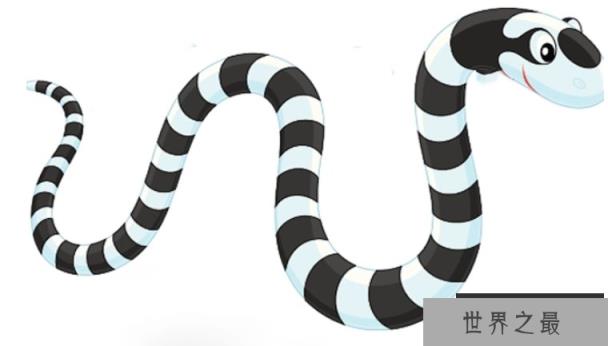 非洲毒性最强的蛇是什么蛇？它到底有多毒？