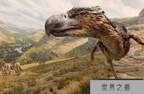 世界上十大最凶猛的史前动物 风神翼龙(体型庞大)