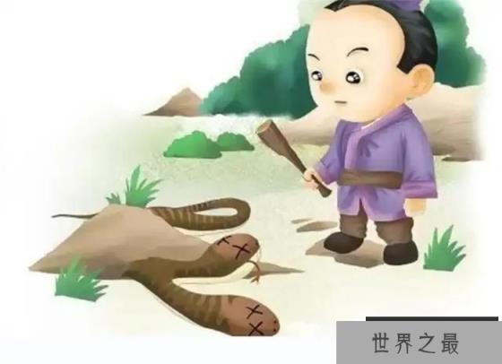 为什么会出现双头动物？从进化的角度看，为何双头很罕见？