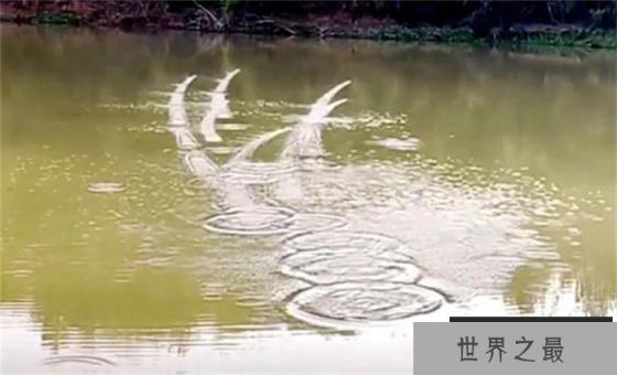 世界上打水漂最多的人 一下能打200个(打水漂最多) 世界上打水漂最多的人 一下能打200个(打水漂最多)