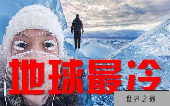 经历了冰火两重天的考验 企鹅成了世界上最抗寒的鸟类 经历了冰火两重天的考验 企鹅成了世界上最抗寒的鸟类