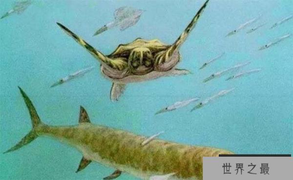 世界上最大的海龟：古巨龟