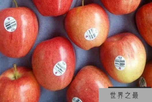 世界上最好吃的十种苹果 世界一号个头很大(味道超甜)