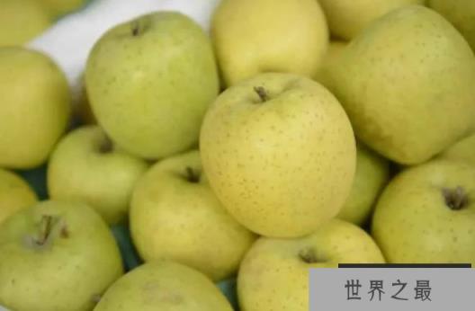 世界上最好吃的十种苹果 世界一号个头很大(味道超甜)