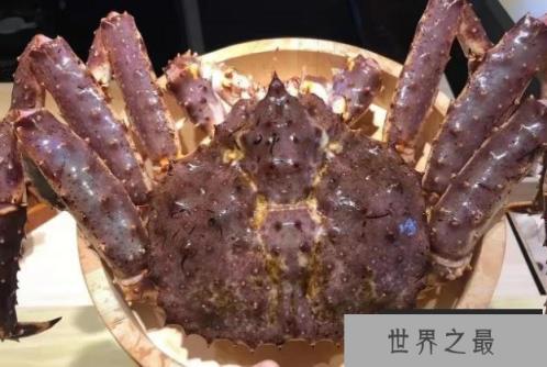 世界上最大的十大螃蟹 巨螯蟹是甲壳动物(体长三米)