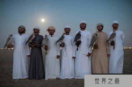 世界上最贵的宠物：鹰隼售价达百万美金一只