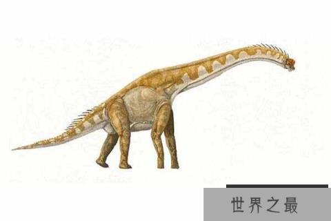 世界上最大的史前动物Top10，霸王龙仅排第七