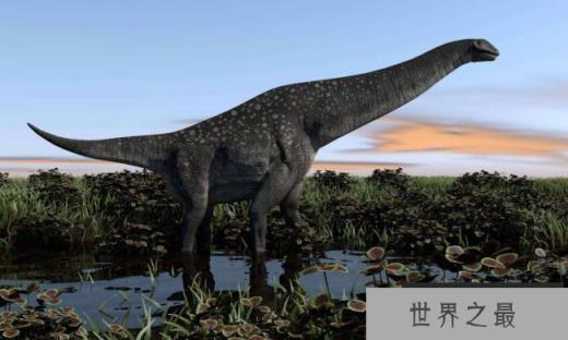 阿根廷龙最大长多大 阿根廷龙是最大的恐龙吗（42米）