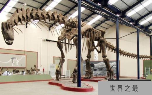 阿根廷龙最大长多大 阿根廷龙是最大的恐龙吗（42米）