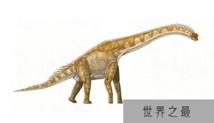 最重的恐龙是什么恐龙，最重的恐龙有多少吨
