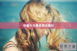 中国十大著名警犬图片