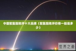 中国聚氨酯地坪十大品牌（聚氨酯地坪价格一般是多少）