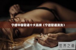 宁德中国管道十大品牌（宁德管道清洗）