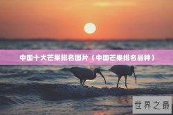 中国十大芒果排名图片（中国芒果排名品种）