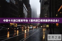 中国十大进口煤炭平台（国内进口煤炭最多的企业）