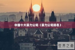 中国十大算力公司（算力公司排名）