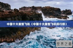 中国十大重型飞机（中国十大重型飞机排行榜）