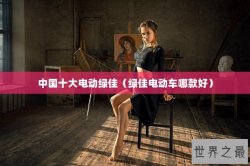 中国十大电动绿佳（绿佳电动车哪款好）