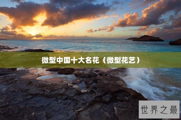 微型中国十大名花（微型花艺）