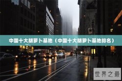 中国十大胡萝卜基地（中国十大胡萝卜基地排名）