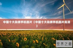 中国十大杂牌手机图片（中国十大杂牌手机图片高清）