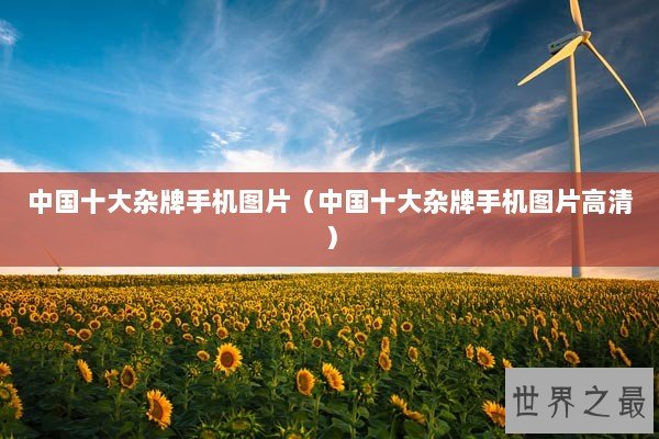 中国十大杂牌手机图片（中国十大杂牌手机图片高清）