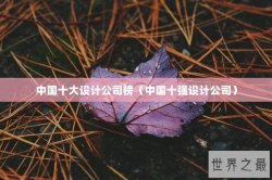 中国十大设计公司榜（中国十强设计公司）