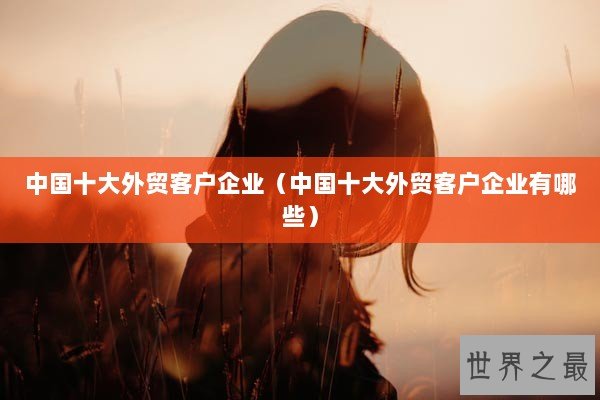 中国十大外贸客户企业（中国十大外贸客户企业有哪些）