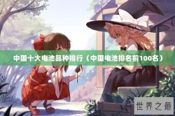中国十大电池品种排行（中国电池排名前100名）