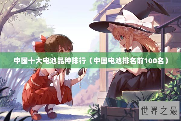 中国十大电池品种排行（中国电池排名前100名）