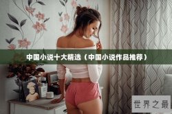 中国小说十大精选（中国小说作品推荐）