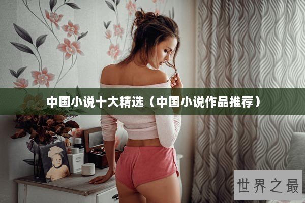 中国小说十大精选（中国小说作品推荐）