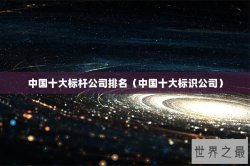 中国十大标杆公司排名（中国十大标识公司）