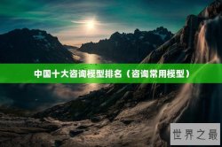 中国十大咨询模型排名（咨询常用模型）